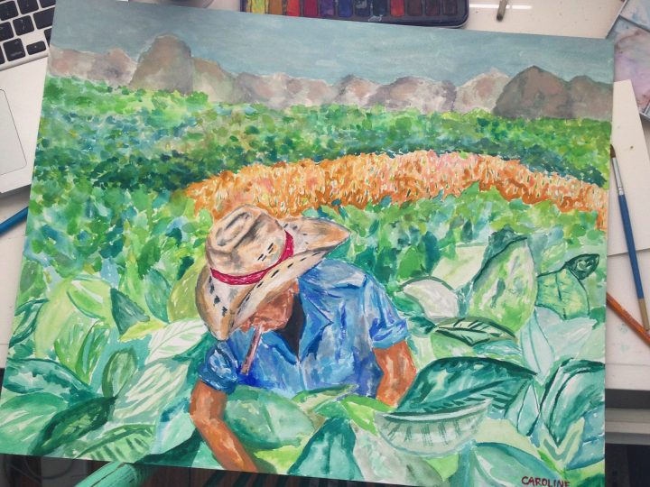 Story Behind The Painting: “Cuban Tobacco Farmer”